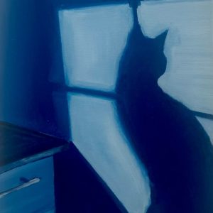 Where did my cat go?